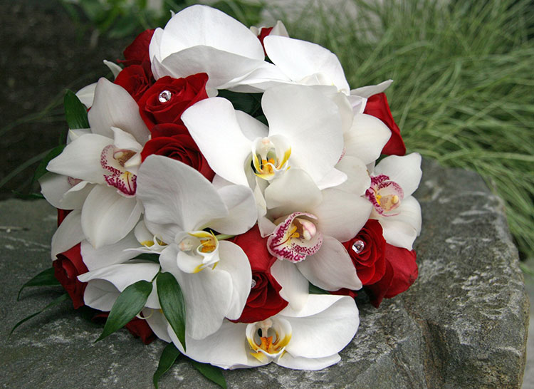 Букет Орхидей Фото
